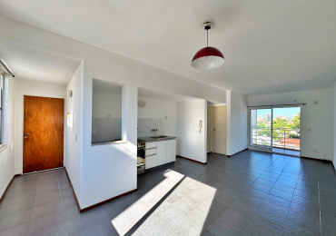 MONO - REPUBLICA LA SEXTA